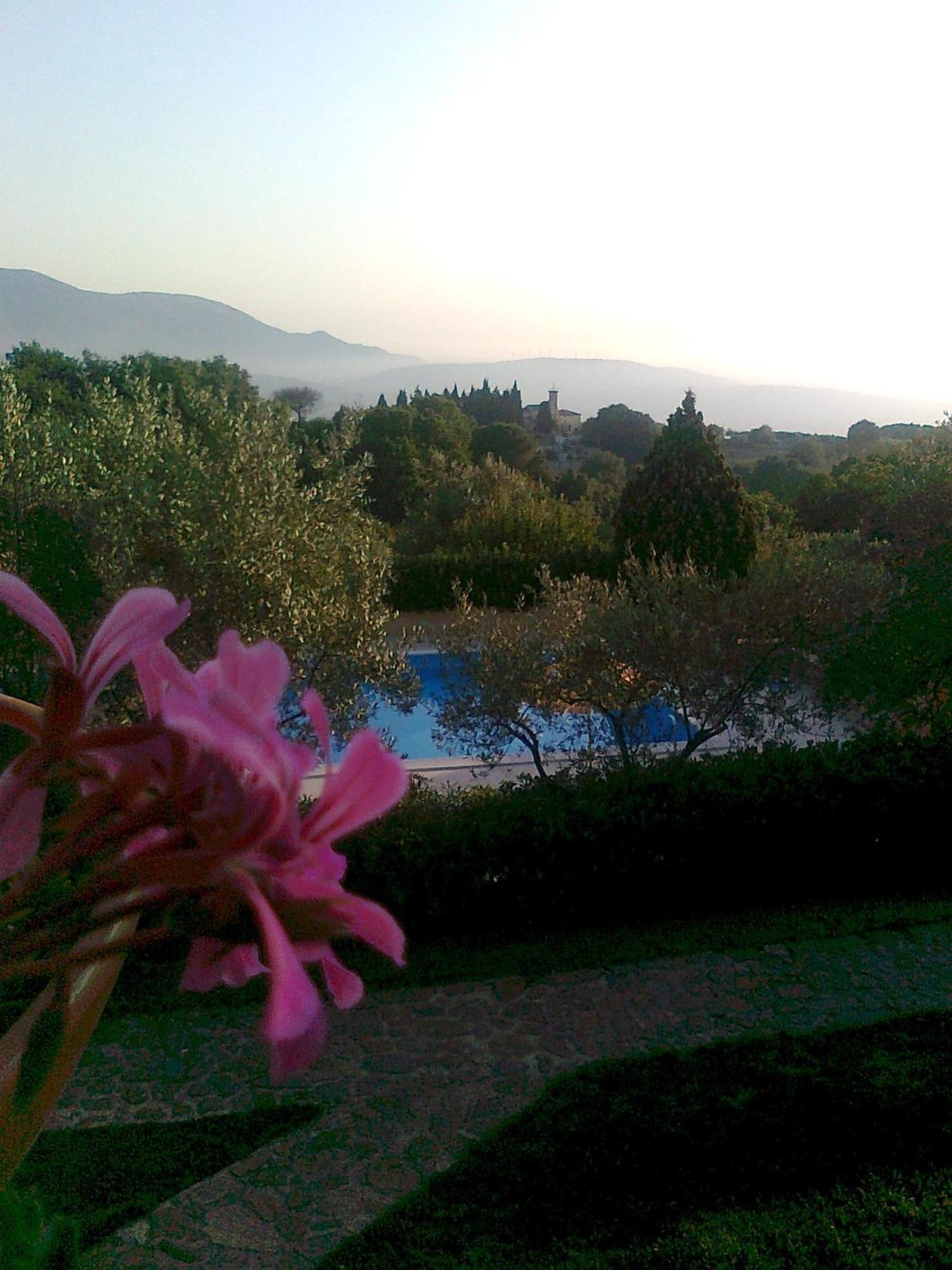 Casale Degli Ulivi Prestige Bed & Breakfast Altavilla Silentina Eksteriør bilde
