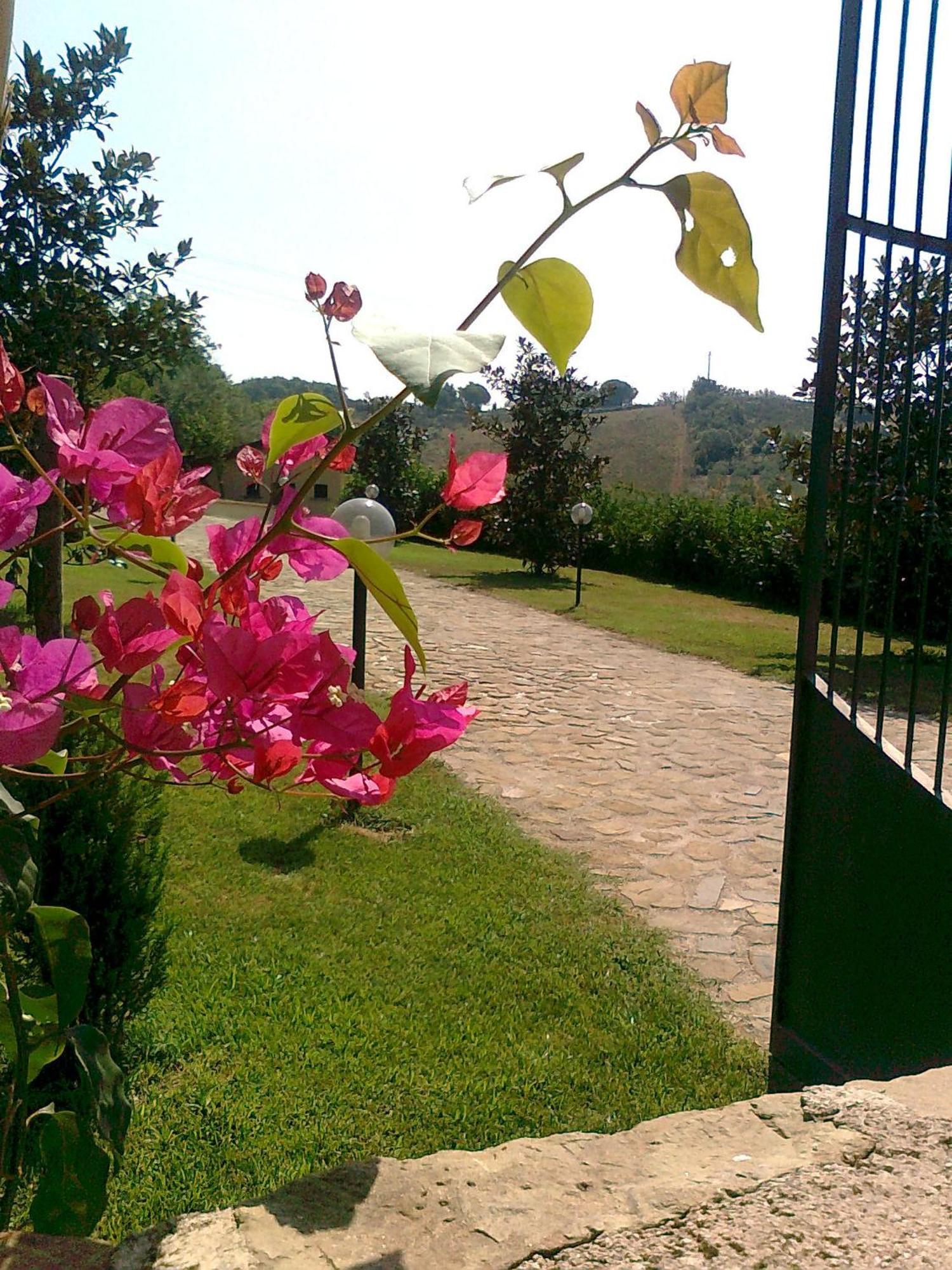 Casale Degli Ulivi Prestige Bed & Breakfast Altavilla Silentina Eksteriør bilde