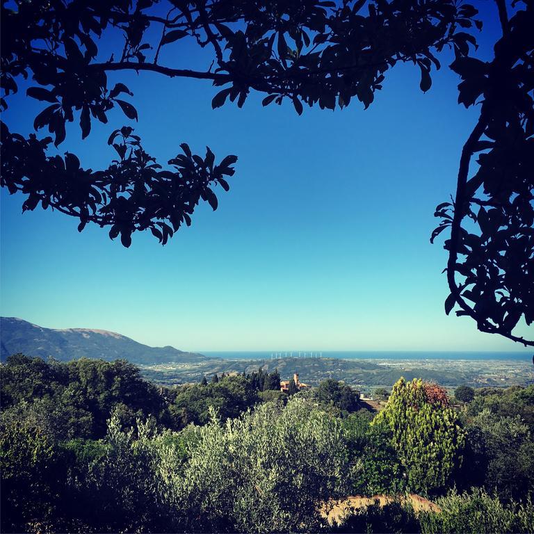Casale Degli Ulivi Prestige Bed & Breakfast Altavilla Silentina Eksteriør bilde